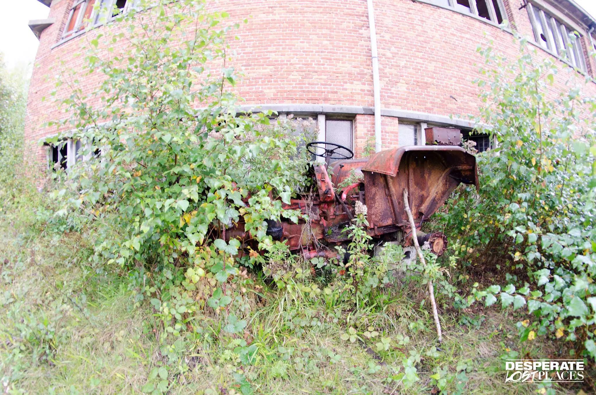 Charbonnage du Renard