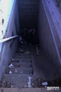 Cité du Chat