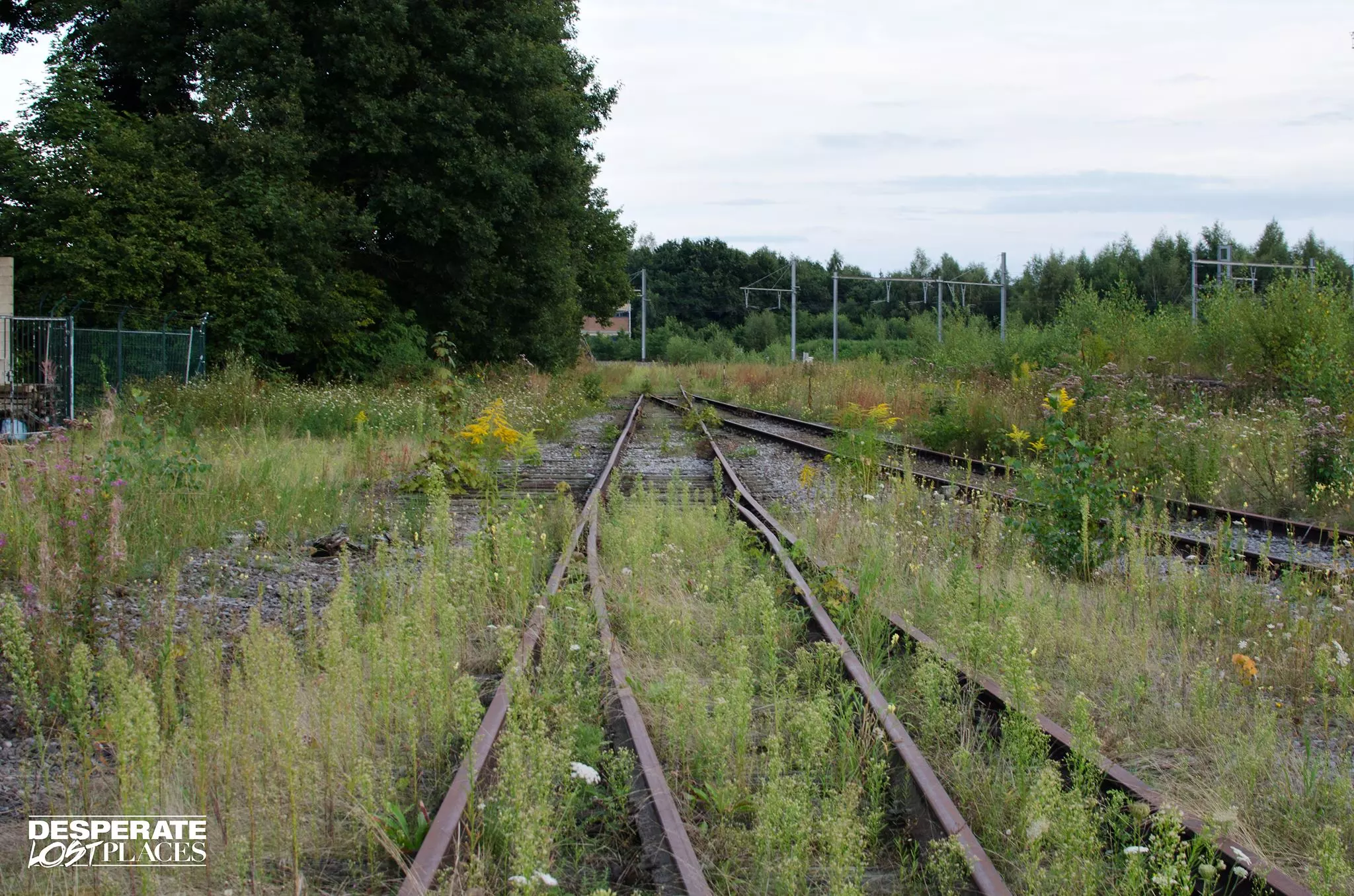 Lost Station MG